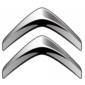 Пневмоподвеска на авто марки Citroen